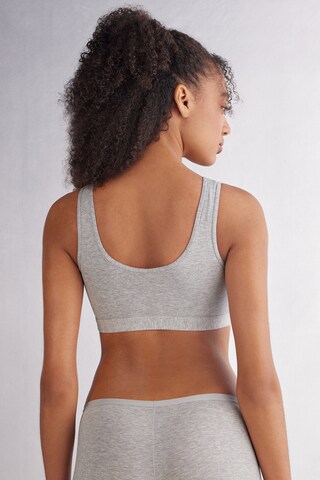 INTIMISSIMI Bustier BH in Grau