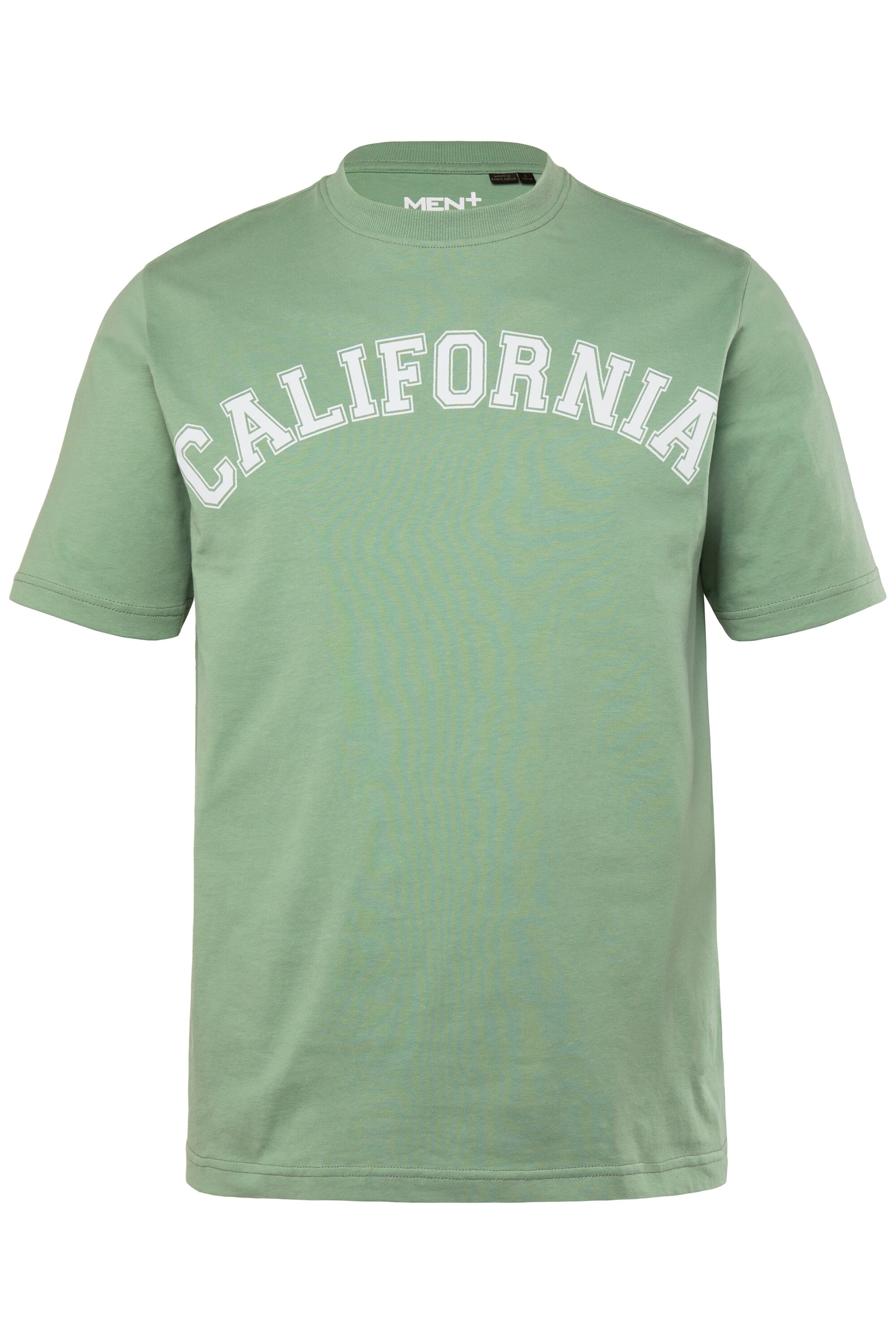 Men Plus Shirt in Groen: voorkant