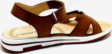 CAPRICE Sandalen met riem in Bruin