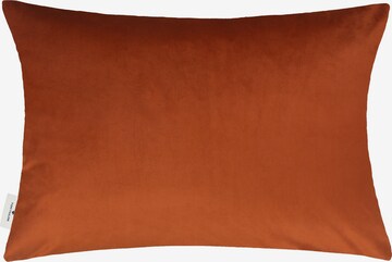 TOM TAILOR Pillow in Brown