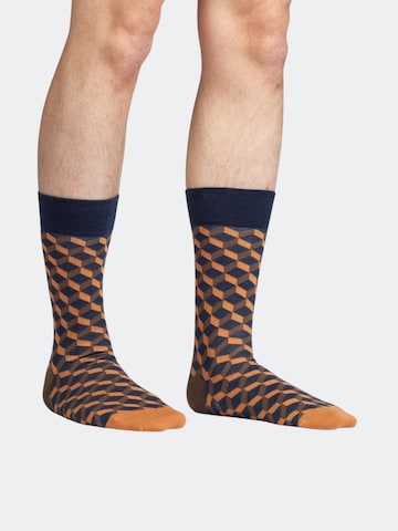 DillySocks Sokken 'Earthy Tones' in Gemengde kleuren: voorkant