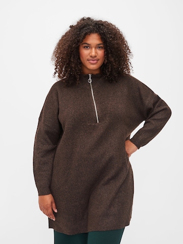 Zizzi Pullover 'SUNNY' in Braun: predná strana