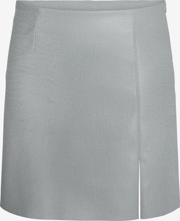 Noisy may Skirt 'CLARA PENNY' in Silver: front