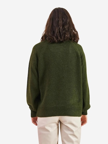 Pull-over Bianco Lucci en vert