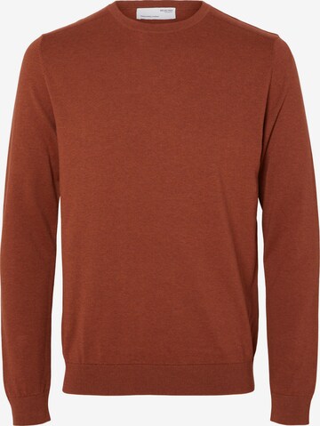 SELECTED HOMME - Ajuste regular Jersey 'Berg' en marrón: frente