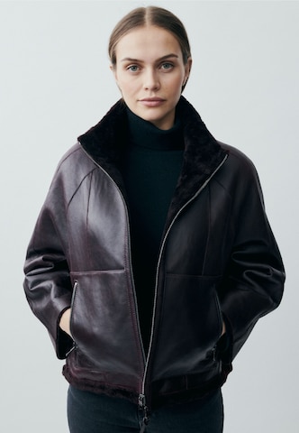 Werner Christ Tussenjas in Rood: voorkant