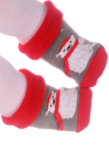 La Bortini Socken in Grau