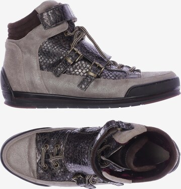 Candice Cooper Sneakers & Trainers in 40 in Grey: front