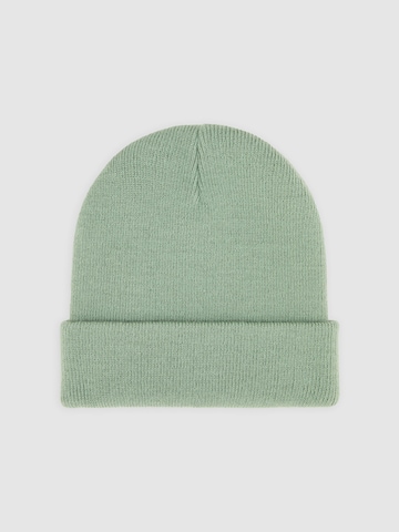 DICKIES Beanie 'Gigsland' in Green