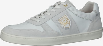 Sneaker bassa 'Palermo' di PANTOFOLA D'ORO in grigio: frontale