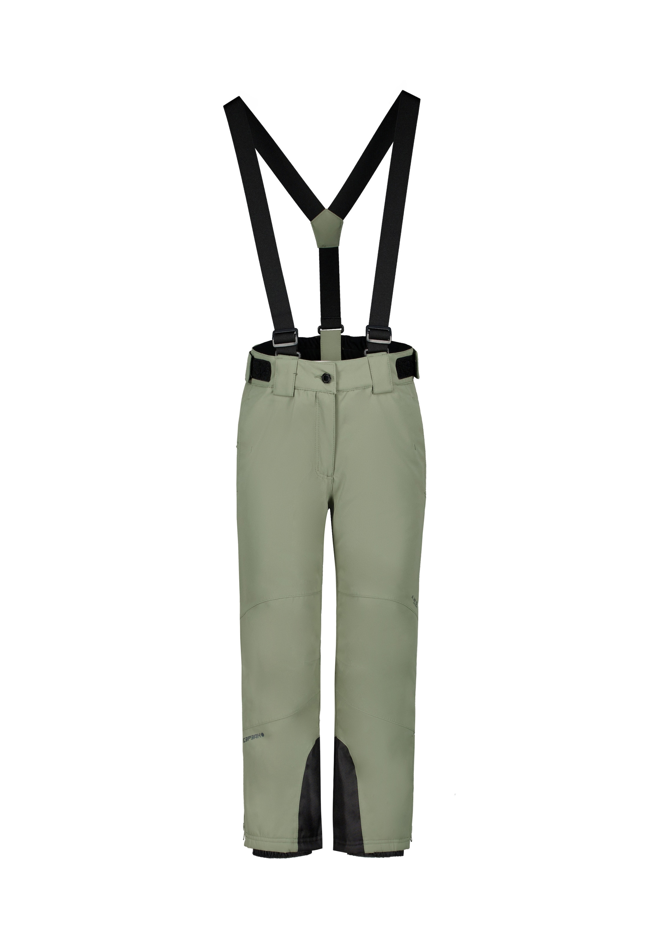 ICEPEAK Regular Outdoor Pants in Green: front