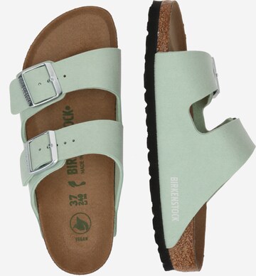 BIRKENSTOCK Mules 'Arizona' in Green