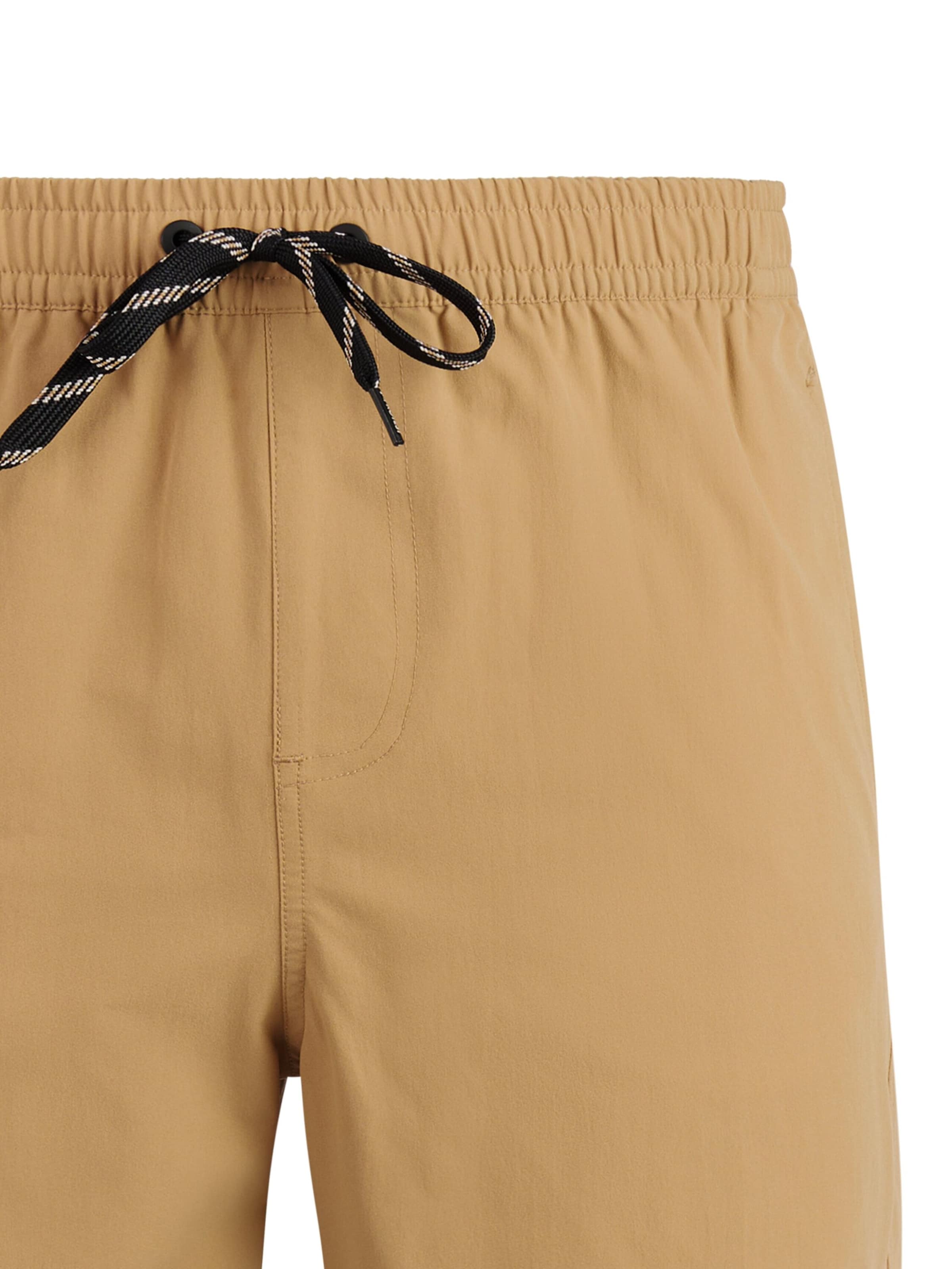 PROTEST Badeshorts 'PRTBaky'‌‌‌‌‌‌‌‌‌‌ in Braun