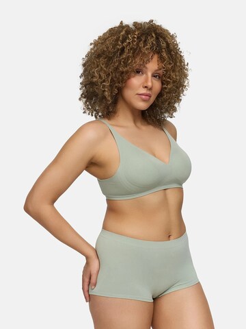 Culotte 'Seamless Hipster Pant' cfab en vert