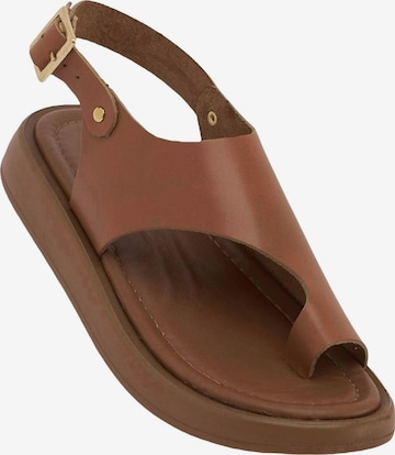 Limoya Sandals 'Damensandalen' in Brown: front