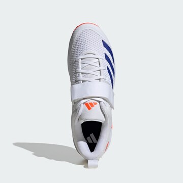 Chaussure de sport 'Adipower Vector 20' ADIDAS PERFORMANCE en blanc