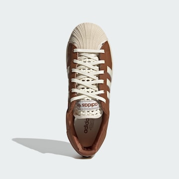 Baskets basses 'Superstar II' ADIDAS ORIGINALS en marron