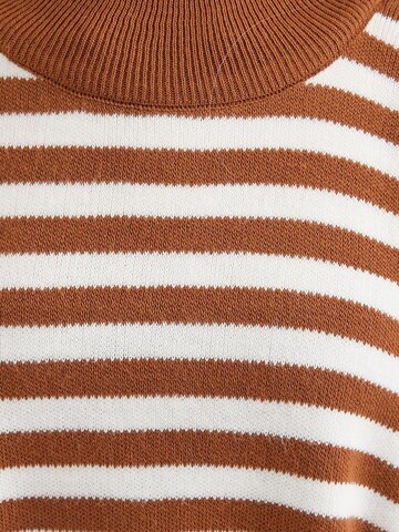 Bigdart Trui in Bruin