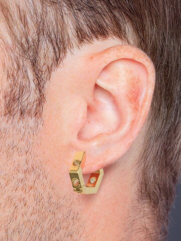 YParis Oorbellen 'Boucle Hexa Trash G' in Goud