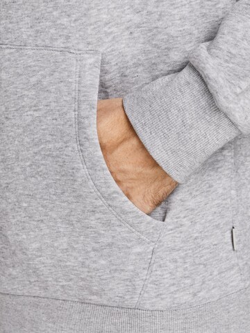 Felpa di JACK & JONES in grigio