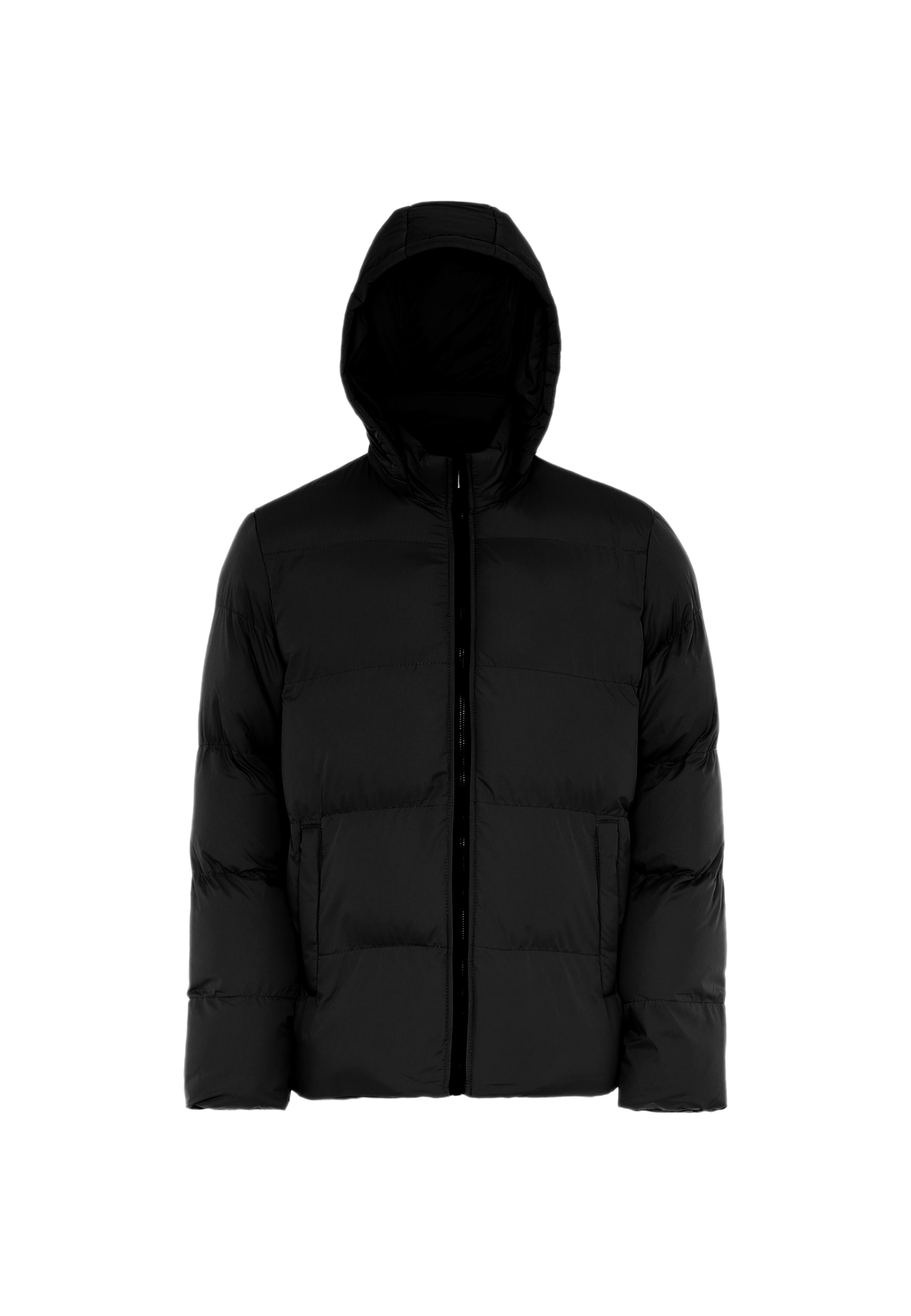 rovic Зимняя куртка в Черный: спереди