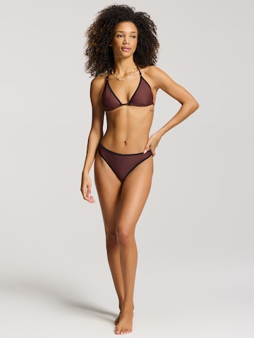 Shiwi Triangel Bikini 'Liz' in Bruin