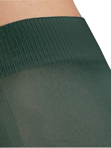FALKE Tights 'Fable Estate' in Green