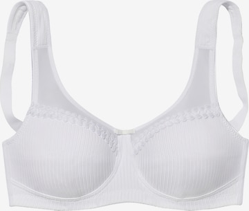 LASCANA T-shirt Bra in White: front