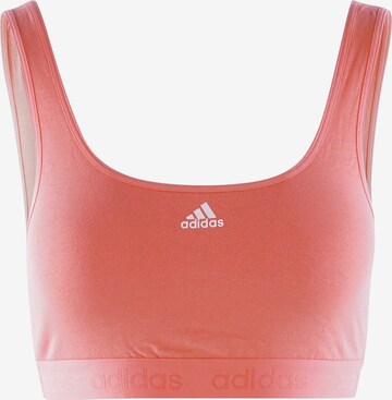 ADIDAS SPORTSWEAR Sports Bra ' CROP BRA ' in Orange: front