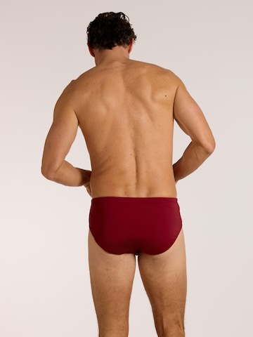 wavebreaker Swim Trunks in Red