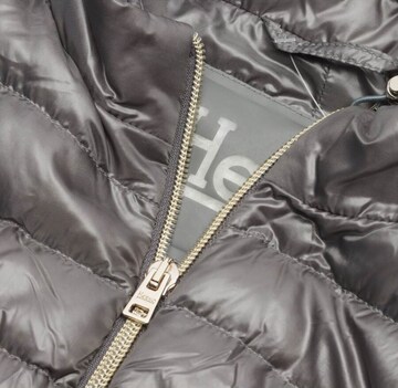 Herno Jacket & Coat in S in Grey