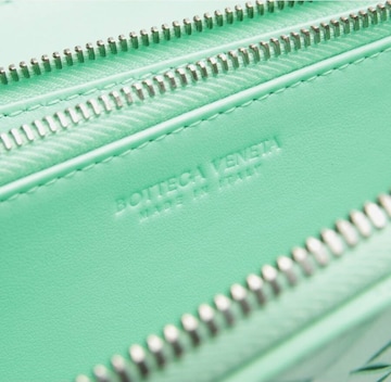 Bottega Veneta Small Leather Goods in One size in Green