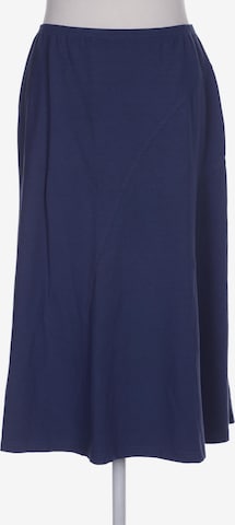 Lucia Skirt in L in Blue: front