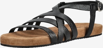 Sandales à lanières LAZAMANI en noir : devant