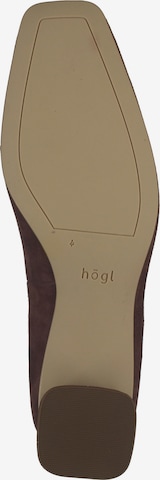 Högl Pumps in Brown