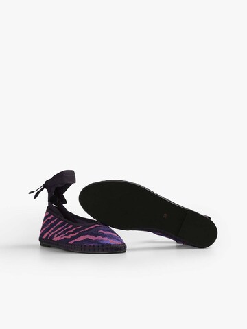 Scalpers Ballerina in Purple