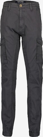 Pantalon BLUE SEVEN en gris : devant