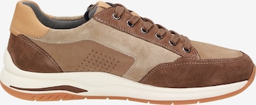 SIOUX Sneakers 'Turibio' in Brown