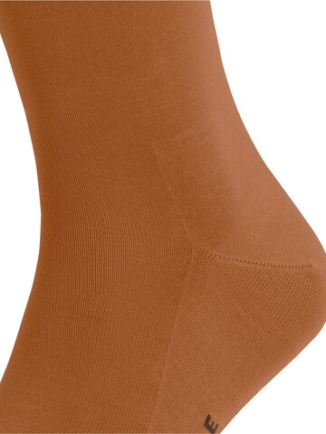 FALKE Socks 'Tiago' in Brown