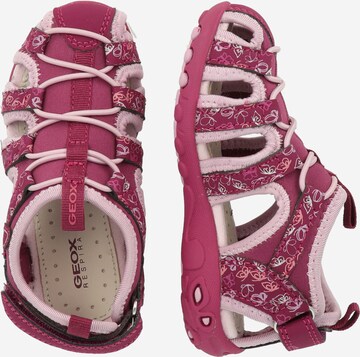 GEOX Open shoes 'Whinberry' in Pink