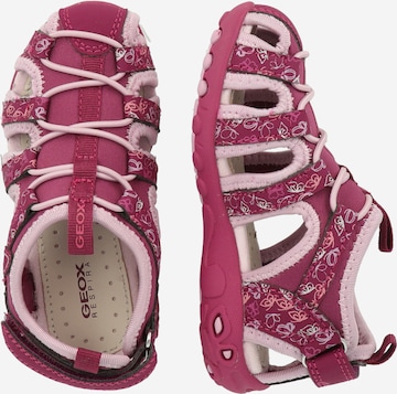 GEOX - Zapatos abiertos 'Whinberry' en rosa