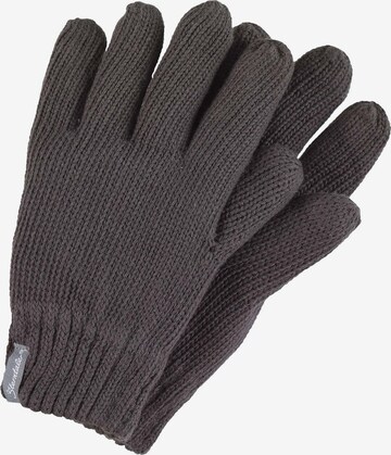 STERNTALER Gloves in Grey