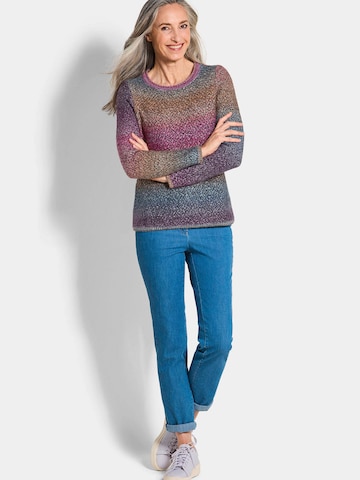 Goldner Sweater in Mixed colours