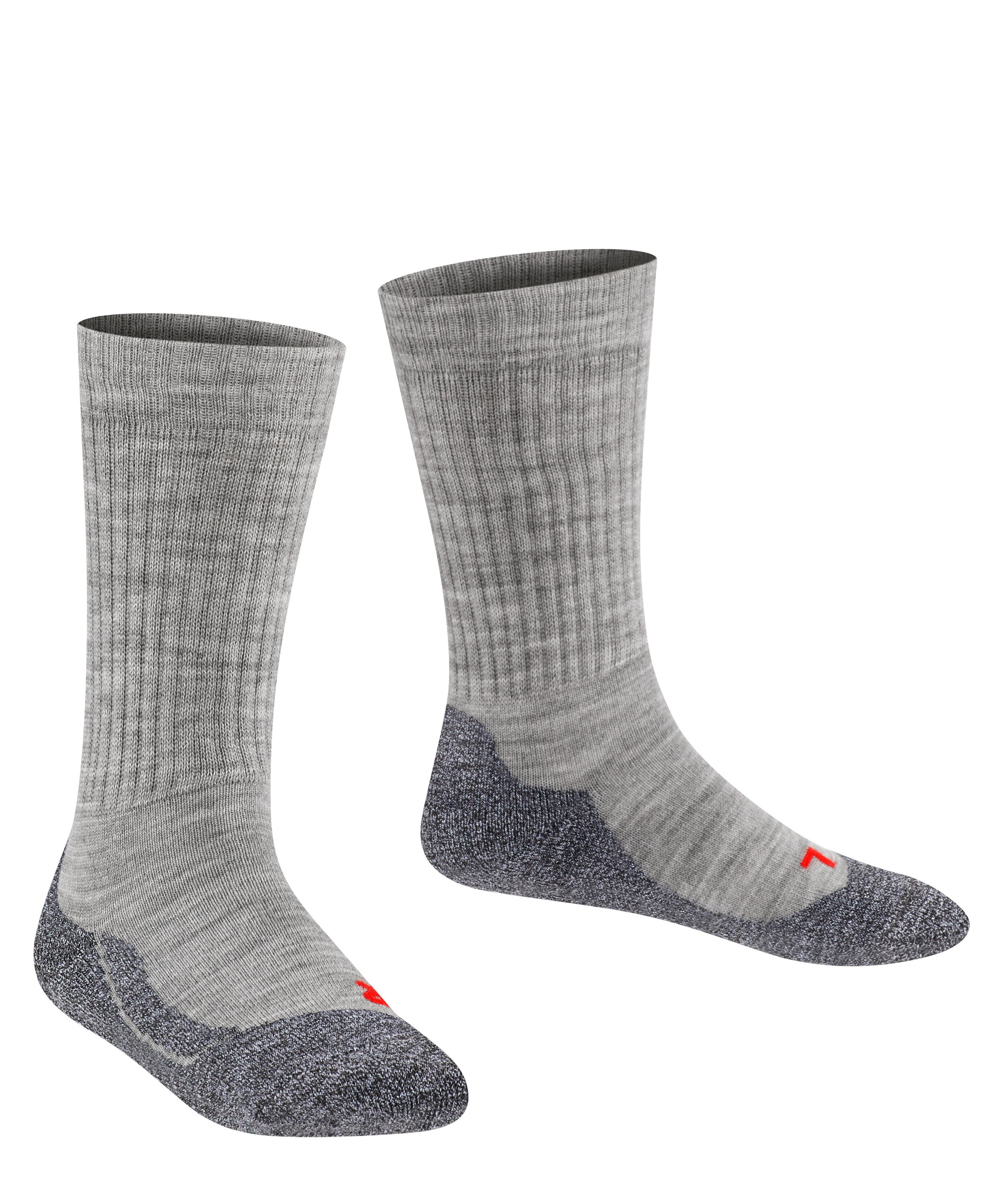 FALKE Sports socks in Grey