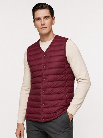 ALLTHEMEN Vest 'Stichlinie' in Red