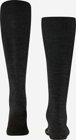 FALKE Knee socks in Black