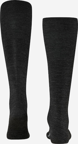 FALKE - Calcetines en negro