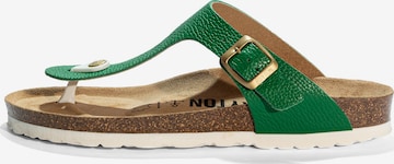 Bayton Varvastossut 'Mercure' värissä vihreä: etupuoli