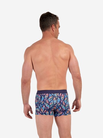 HOM Boxer shorts ' Boxer Briefs Indian Creek ' in Blue