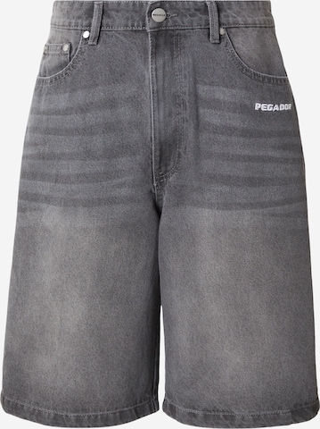 Pegador Shorts 'KOLAR JORTS' in Grau: Vorderseite